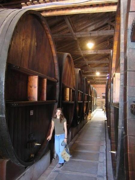 At the winery, Mendoza