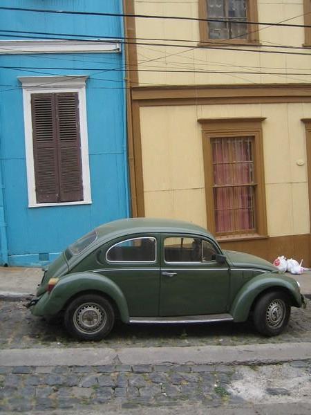 The bug in Valparaiso