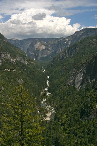 Yosemite Nat'l Park 
