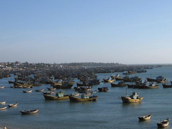 Fishing Harbor