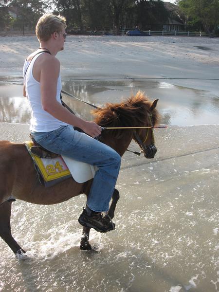 "Horse Ride"
