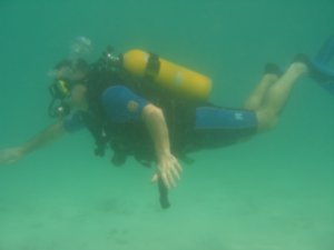 dad diving 2
