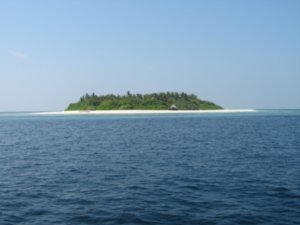 robinson cruiso island