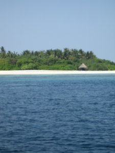 robinson cruiso island 2