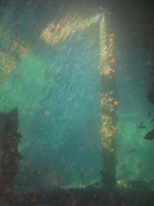 inside shipwreck 2