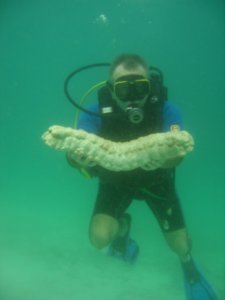 old man holding sea cucumber