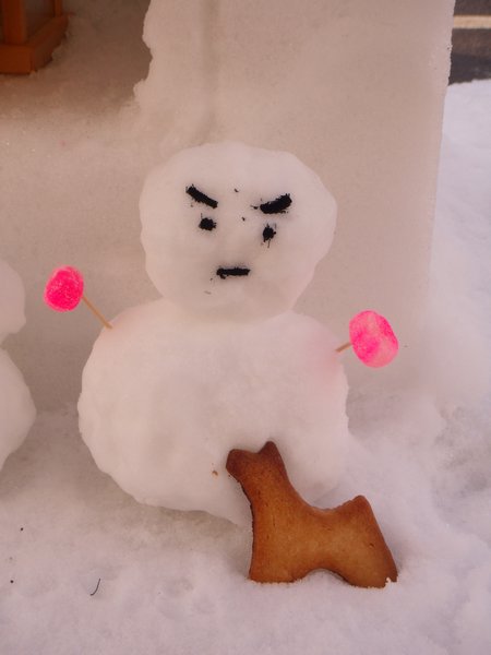 ANGRY SNOWMAN