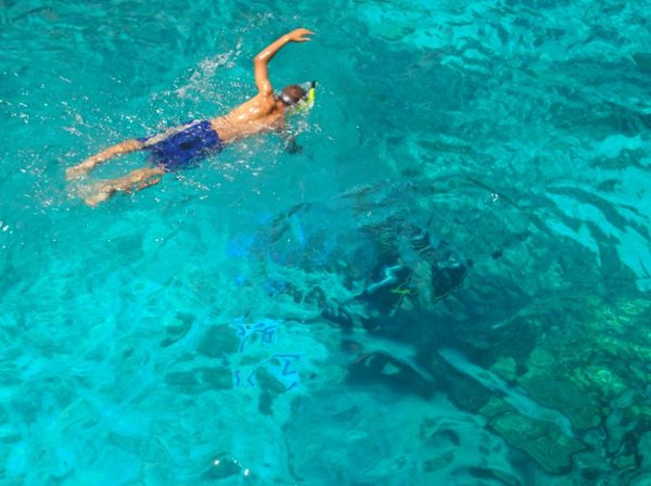 Snorkeling vs Diving