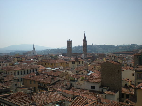 Florence from up high