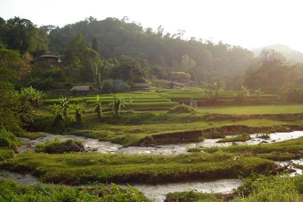 Reisfelder bei einem Bergdorf
