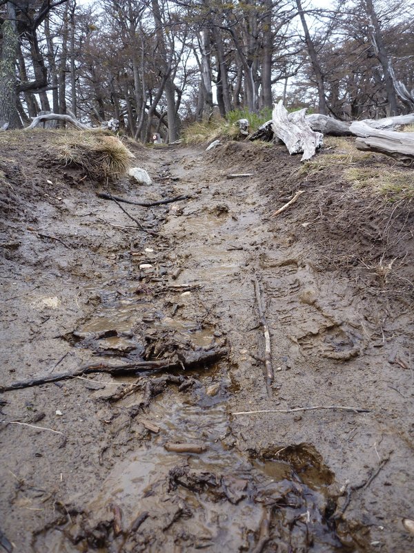 The trail at points turned into a stream from the runoff