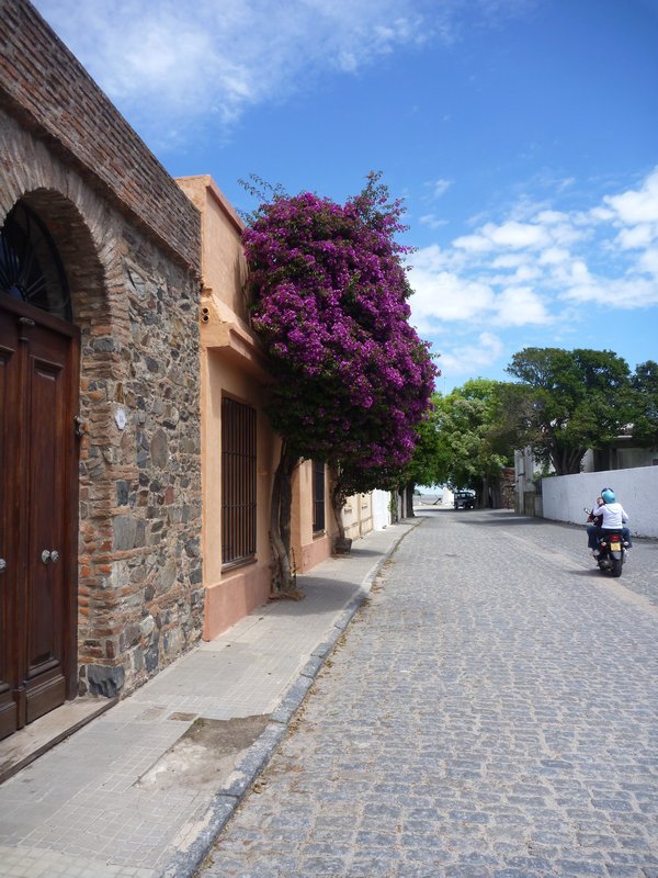 Another Old Street in Colonia
