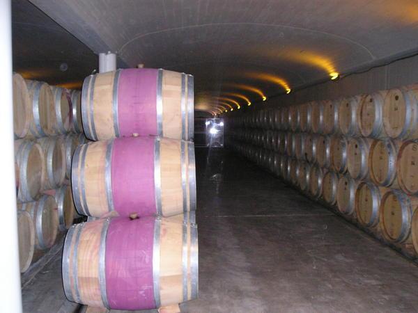 Wine Barrels At The Bianchi Bodega