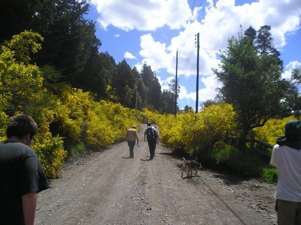 Hike to Las Cascadas