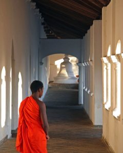 Young monk at Dambulla