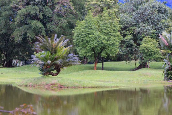 Lake Gardens, Taiping