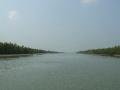 Sunderbans, keeping going for the bay of Bengal