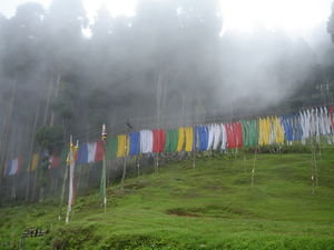 Prayer Flags in forest in the clouds