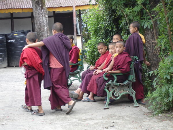 Young monks at Enchey Monastery