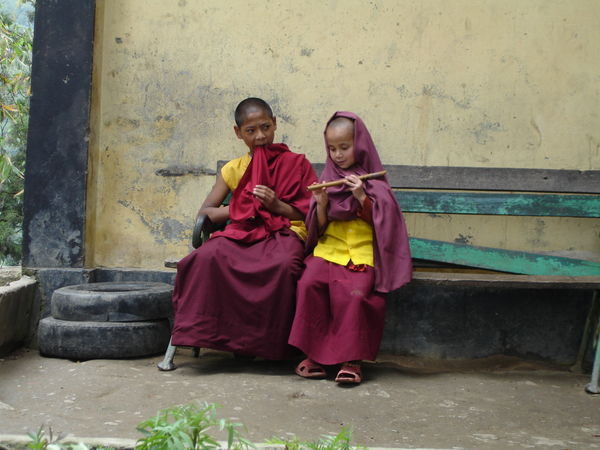 Young monks playing music