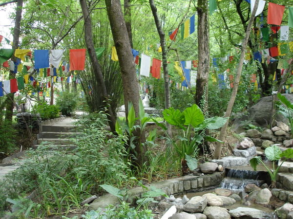 Gardens at Norbulingka