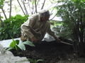 Gardener at Norbulingka Institute