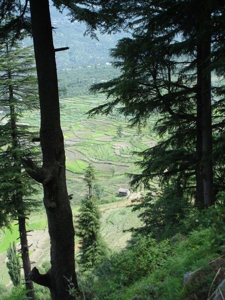 Valley near Manali
