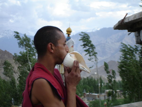 Monk blowing conch shell at Sankar Gompa