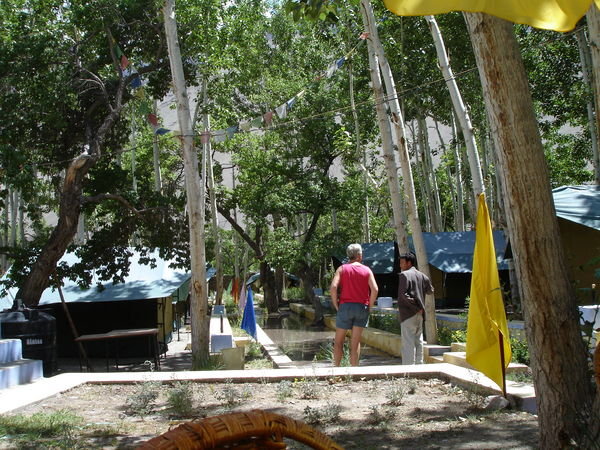 Campsite at Alchi
