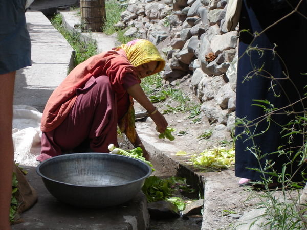 Local woman washing turnips in stream