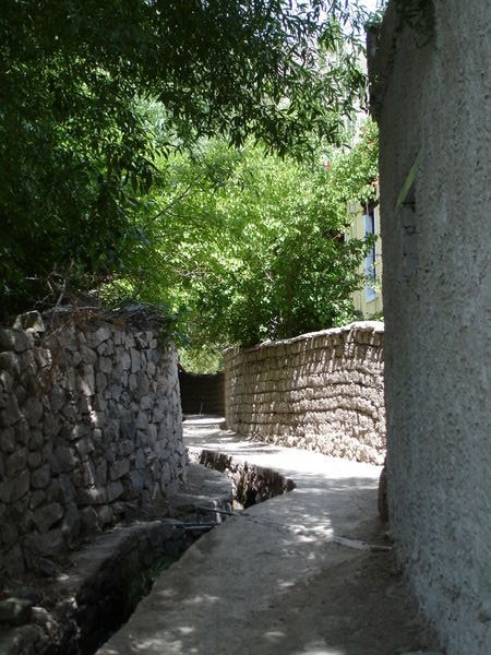 Path at Alchi