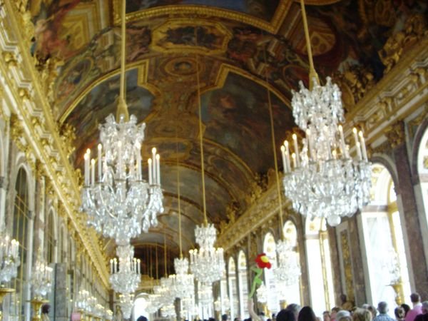 the hall of mirrors