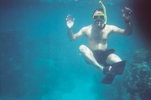 Albert snorkelling off the shores of Utila, Honduras