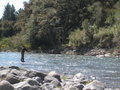 Fishing on the Tongariro River