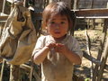 Hmong child...