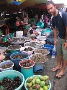 Exploring the local fish market...