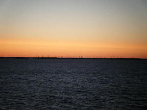 Wind turbines off the coast