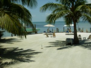 Iguana Reef Inn Beach