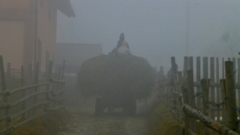 Hay Moving Must Go On, Even in the Fog