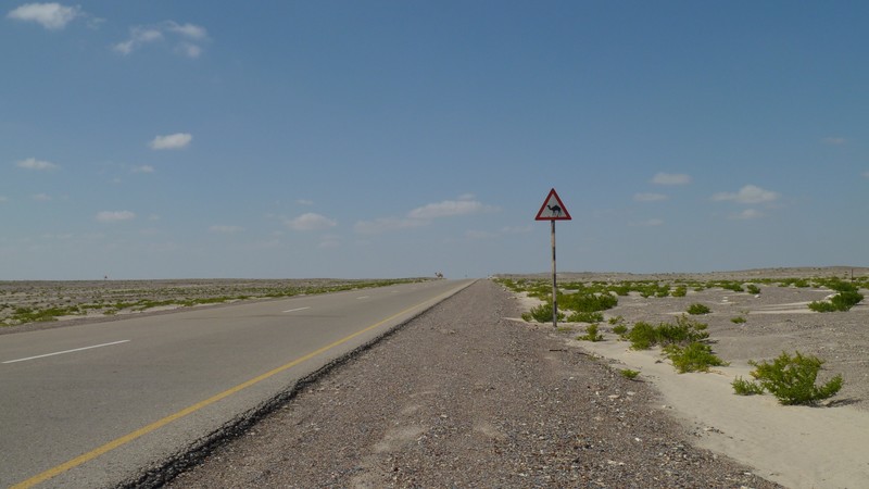Camel crossing sign...