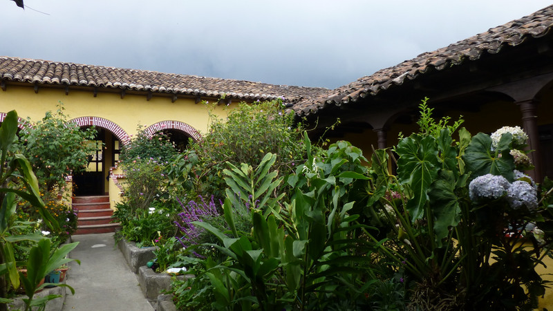 Courtyard garden at my hospedaje in Sololá