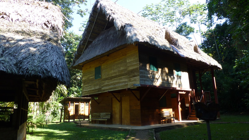 My thatched accommodation