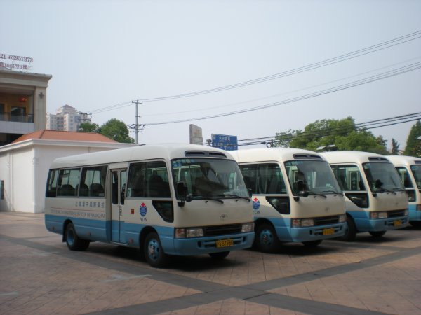 school buses at YCIS