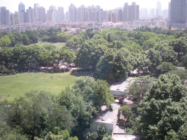 view of the park