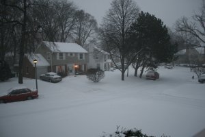 snowy Evanston