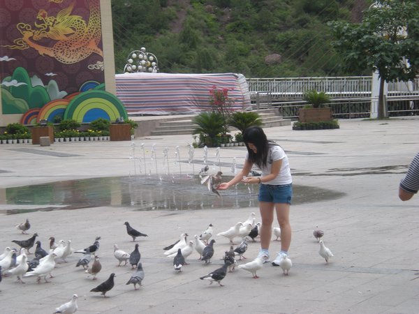The bird plaza