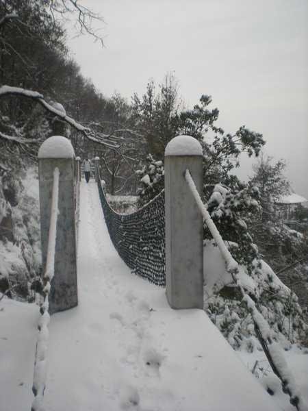the bridge with snow