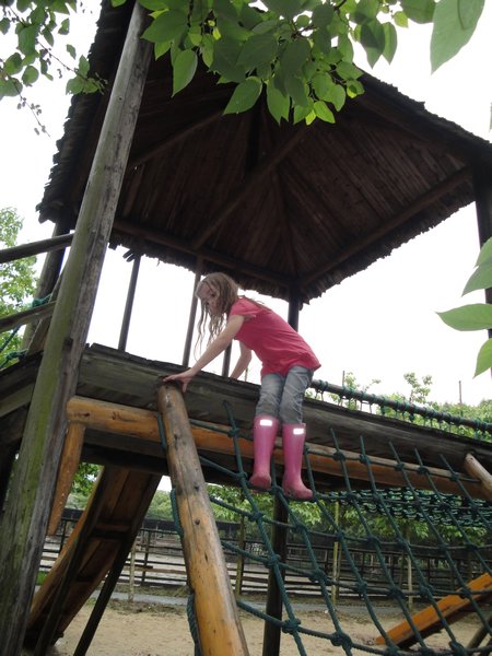 emily does the ropes course