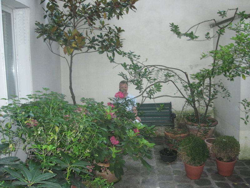 our courtyard