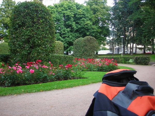 A Helsinki garden